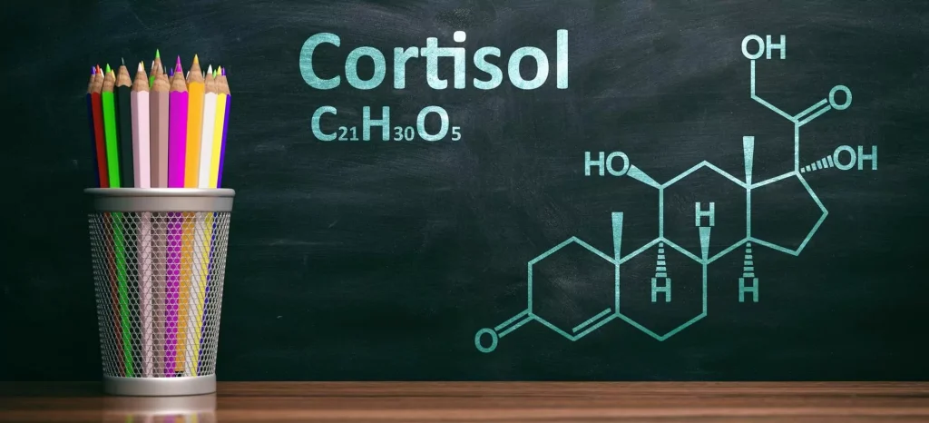 cortisol